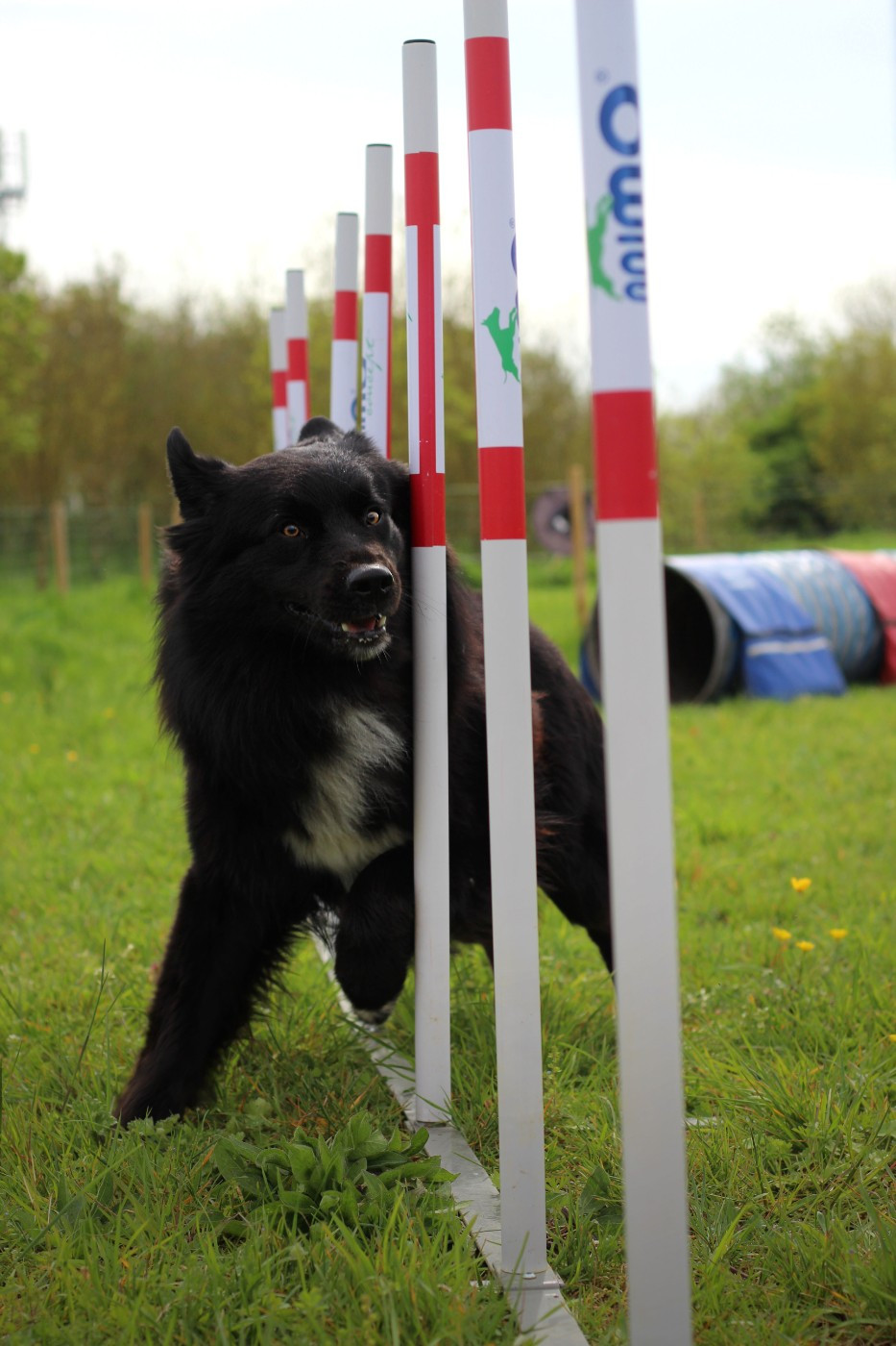 Agility